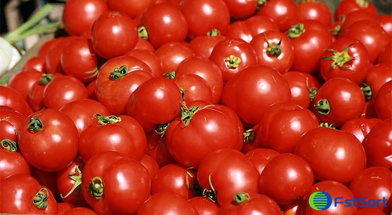 images/1677572849793toamto grading machine.jpg